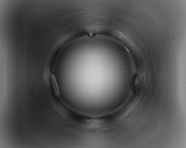 X0000093140448200710031413