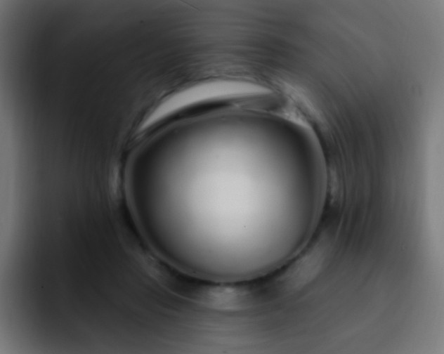 X0000093140453200710031413