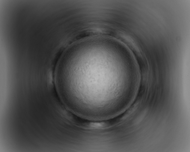 X0000093140457200710031413