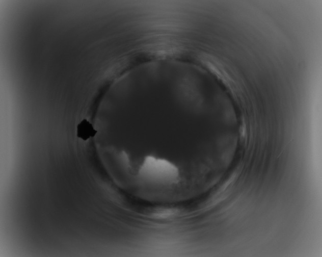 X0000093140458200710031413