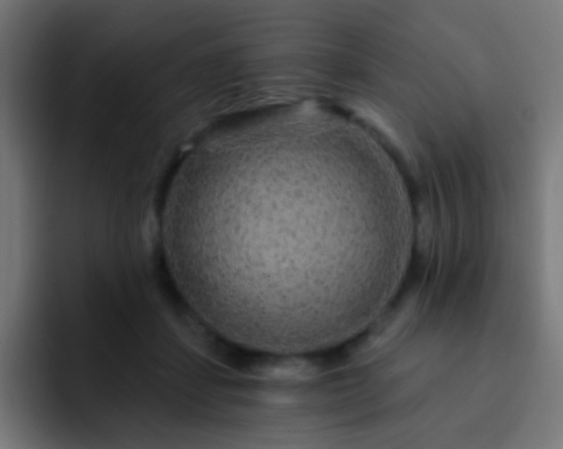 X0000093140459200710031413