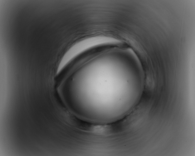 X0000093140461200710031413