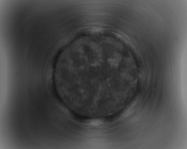 X0000093140462200710031413