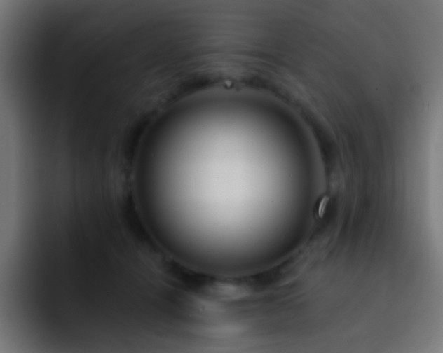 X0000093140464200710031413