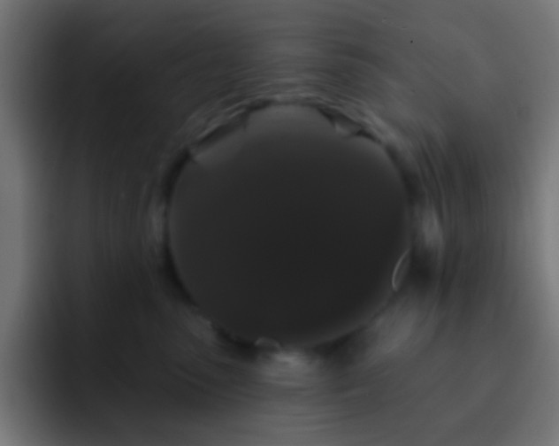 X0000093140475200710031413
