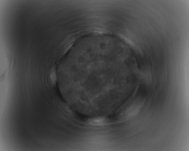 X0000093140479200710031413