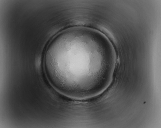 X0000093140483200710031412