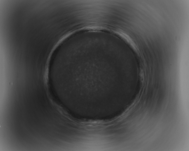 X0000093140484200710031412