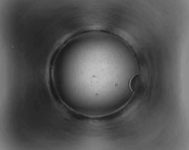 X0000093140486200710031412