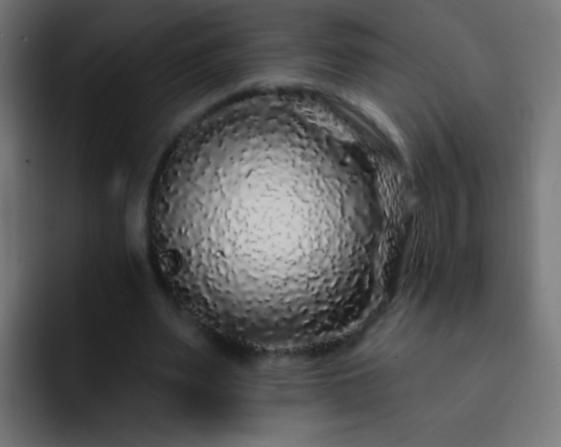 X0000093140487200710031412