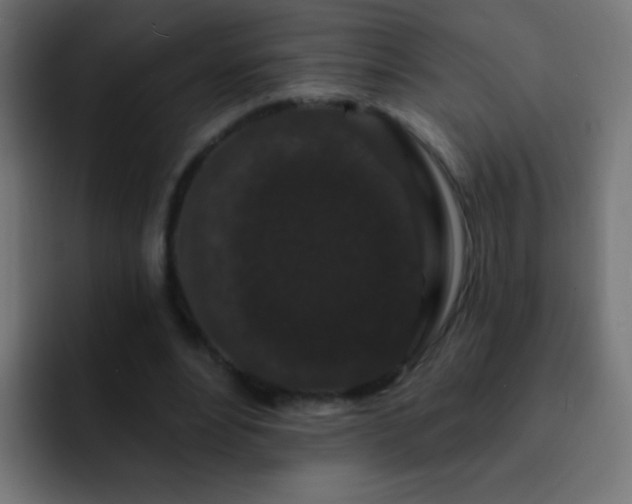 X0000093140488200710031412