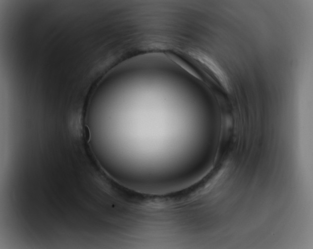 X0000093140489200710031412