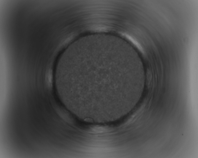 X0000093140494200710031412