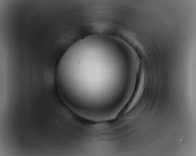 X0000093140505200710031412