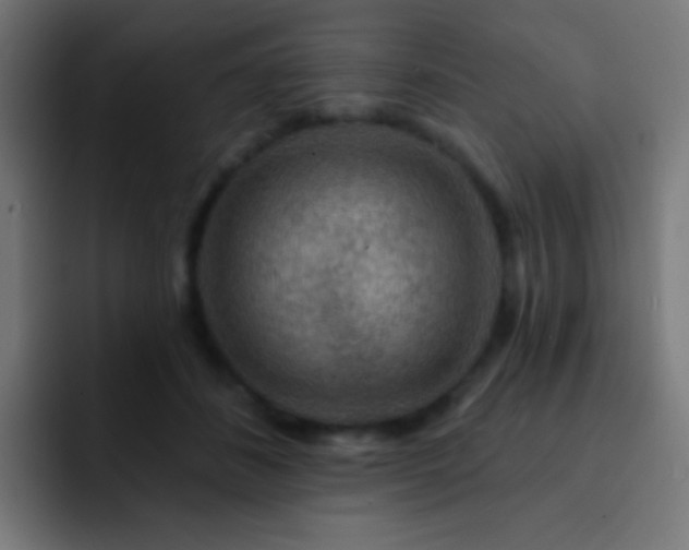X0000093140508200710031412