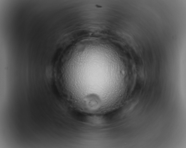 X0000093140511200710031412