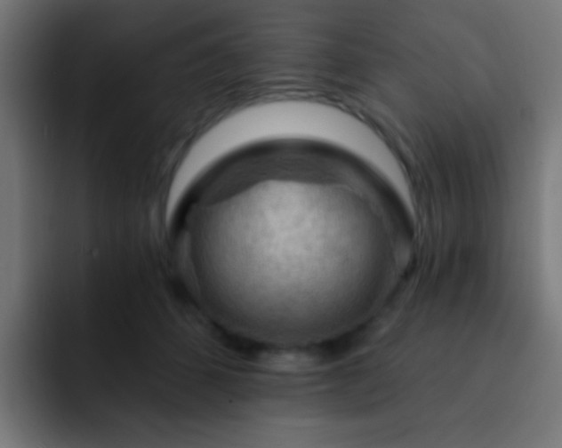X0000093140512200710031412