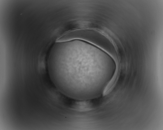 X0000093140516200710031412