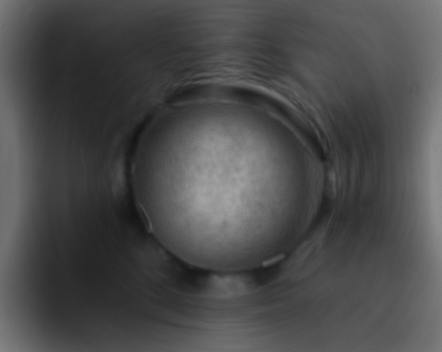 X0000093140520200710031412