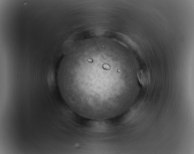 X0000093140524200710031412