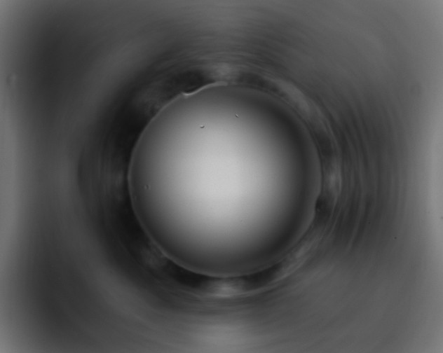 X0000093140525200710031412