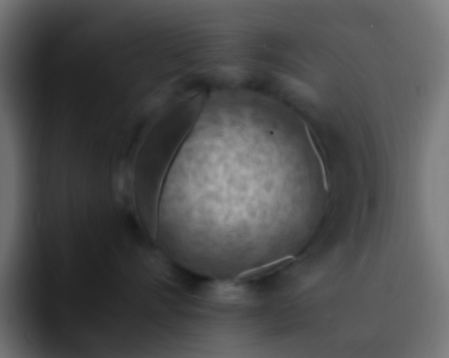 X0000093140528200710031412