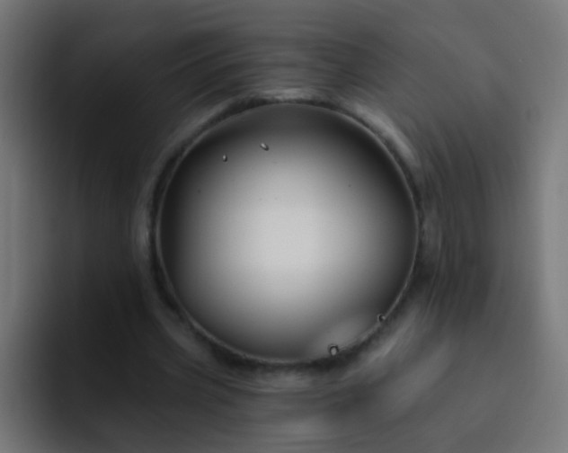 X0000093140533200710031411