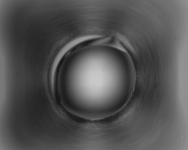 X0000093140538200710031411