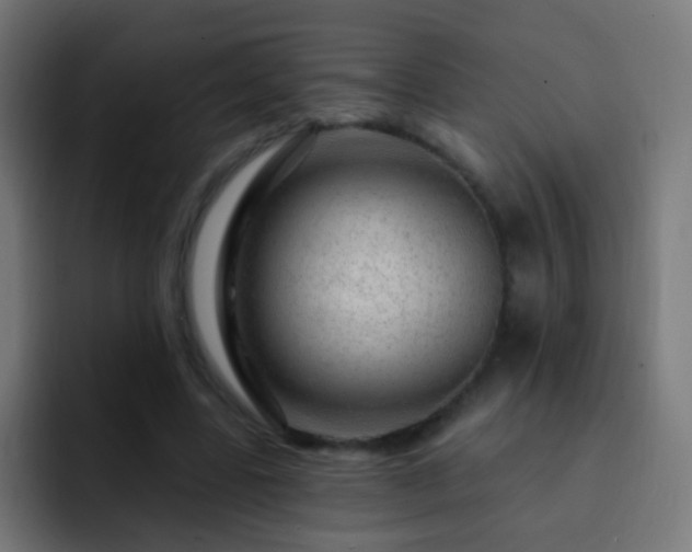 X0000093140539200710031411
