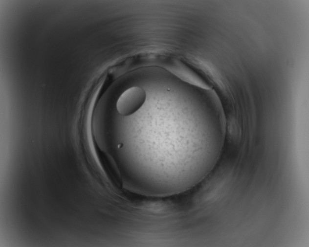 X0000093140540200710031411
