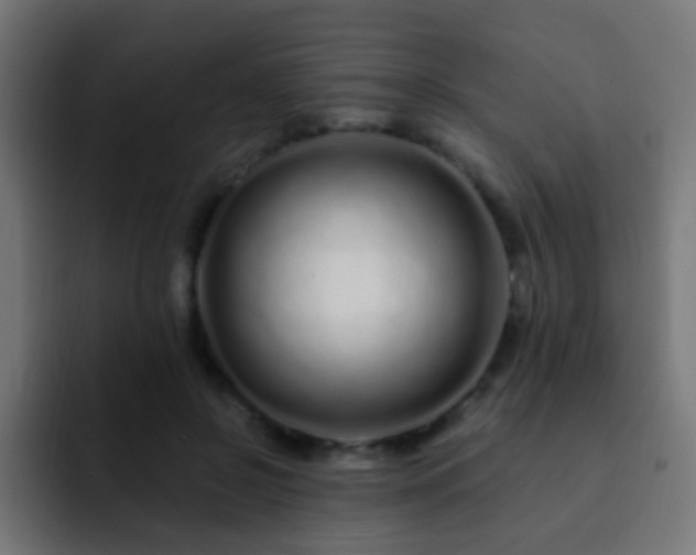 X0000093140550200710031412