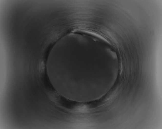 X0000093140551200710031412