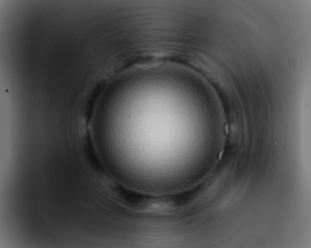 X0000093140555200710031412