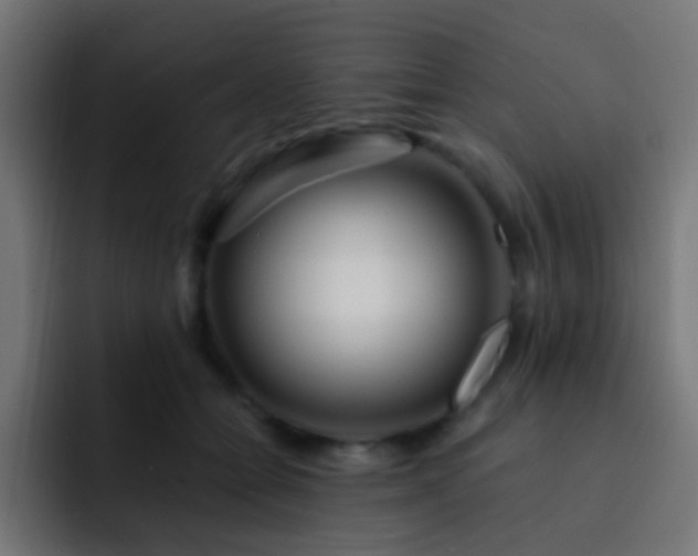 X0000093140558200710031412