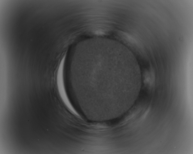 X0000093140559200710031412