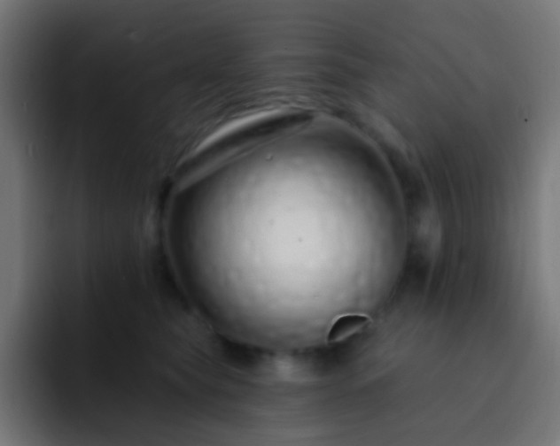 X0000093140565200710031412