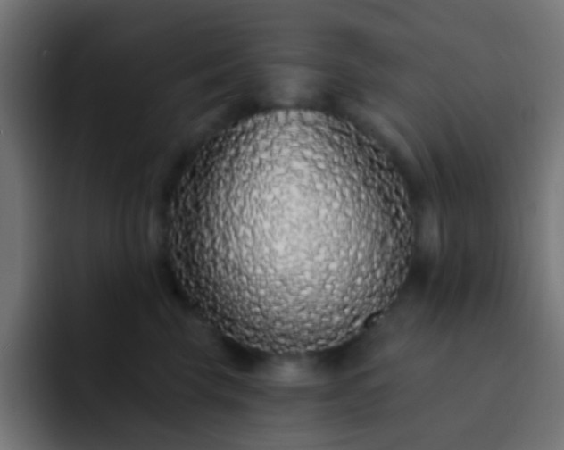 X0000093140569200710031412