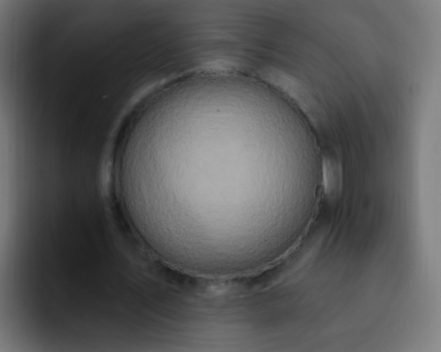 X0000093140579200710031411