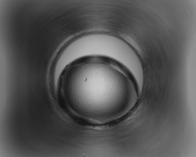 X0000093140584200710031411