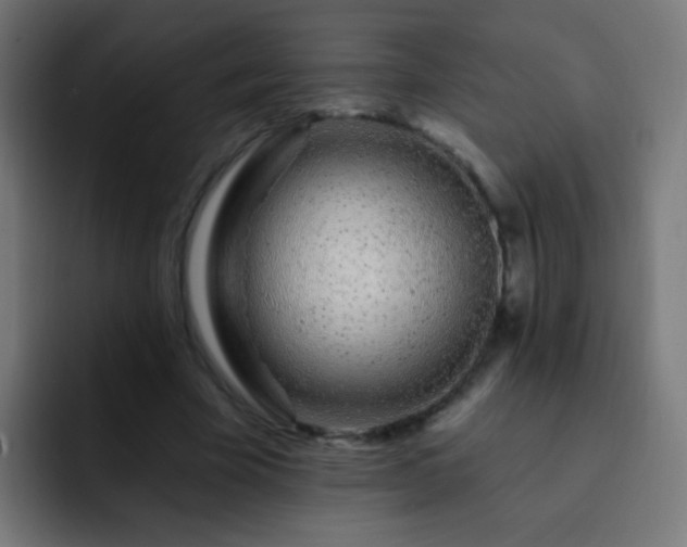 X0000093140585200710031411