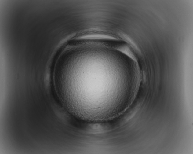 X0000093140588200710031411