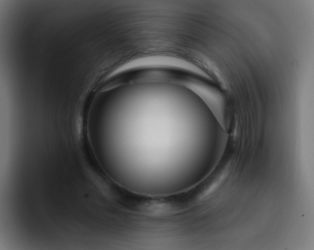 X0000093140589200710031411