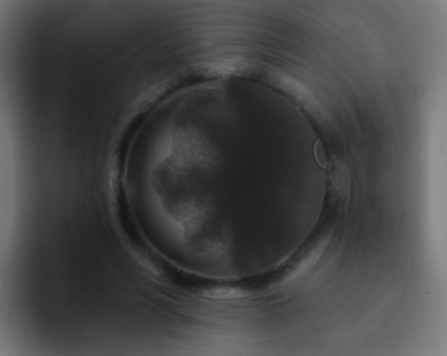 X0000093140590200710031411
