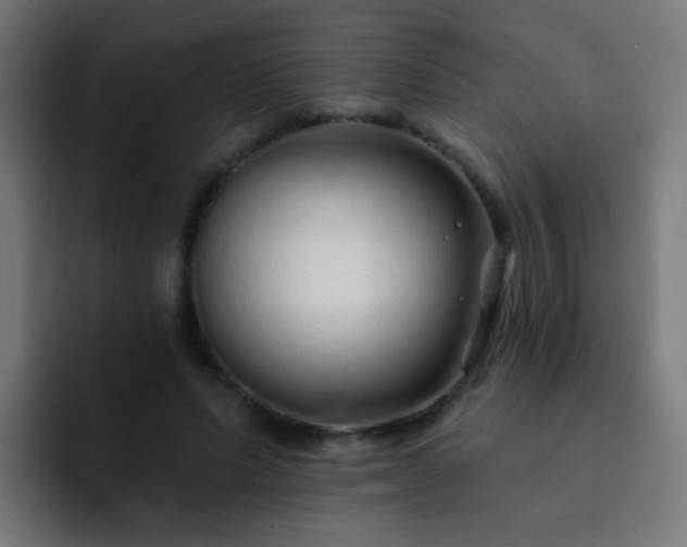 X0000093140591200710031411