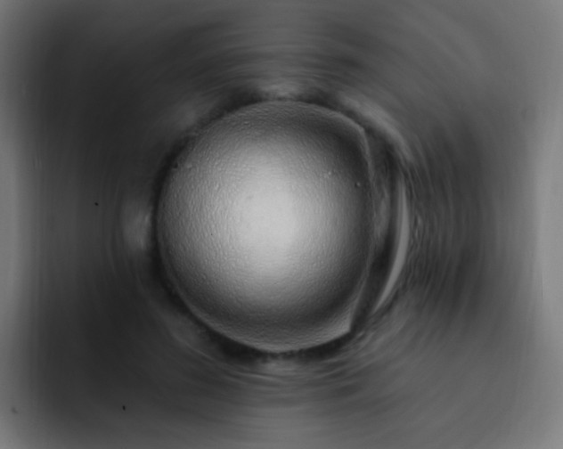 X0000093140596200710031411