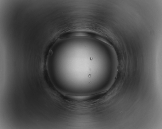 X0000093140600200710031411