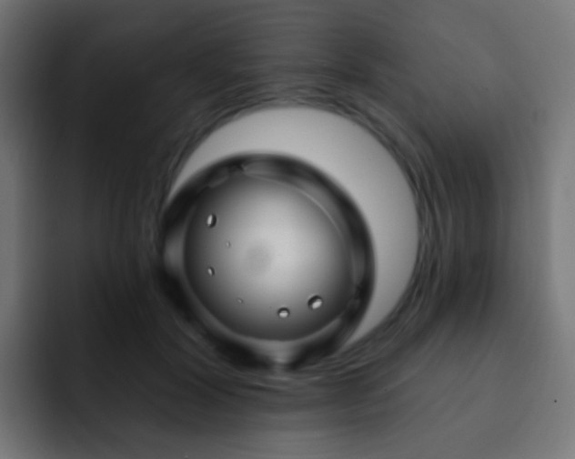 X0000093140604200710031411