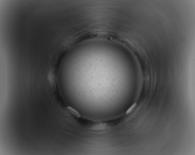 X0000093140609200710031411