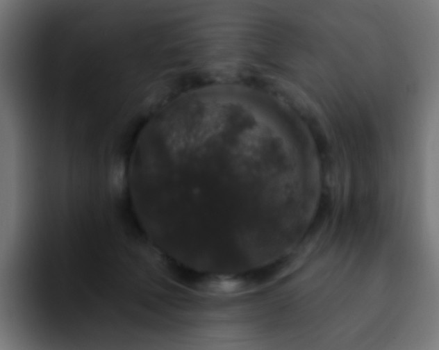 X0000093140610200710031411