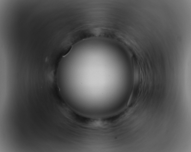 X0000093140611200710031411